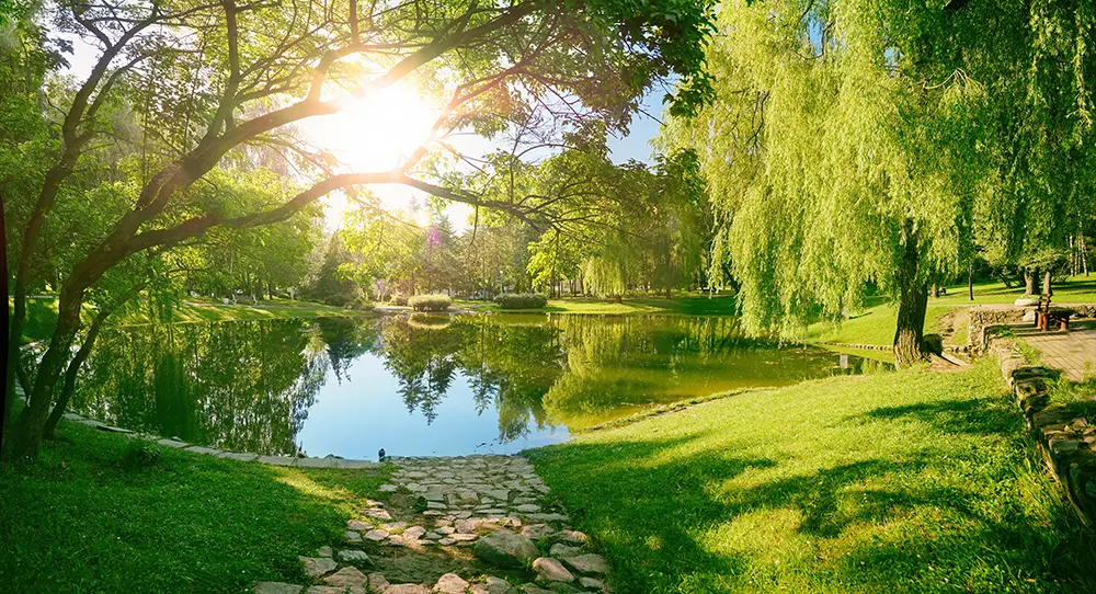Course Thumbnail